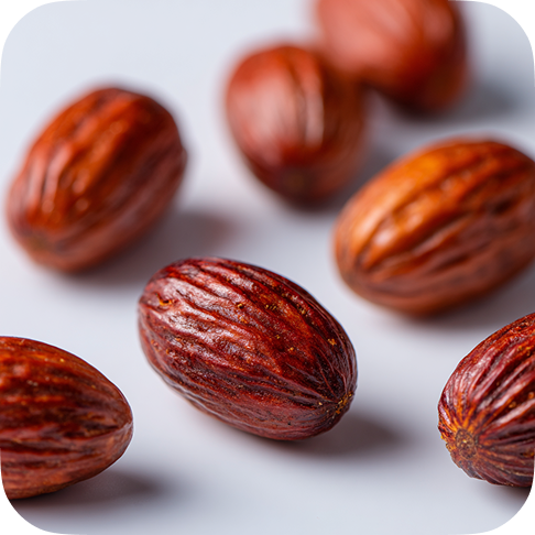 Jujube Seed